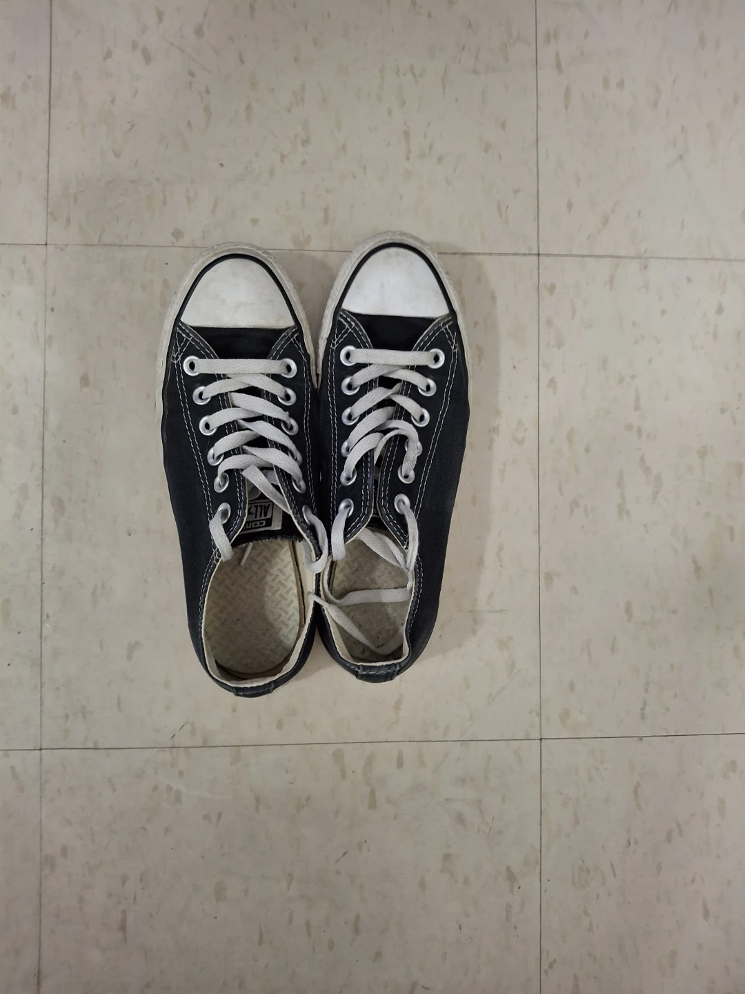 Converse Chuck Taylor All Star Low Top Shoes