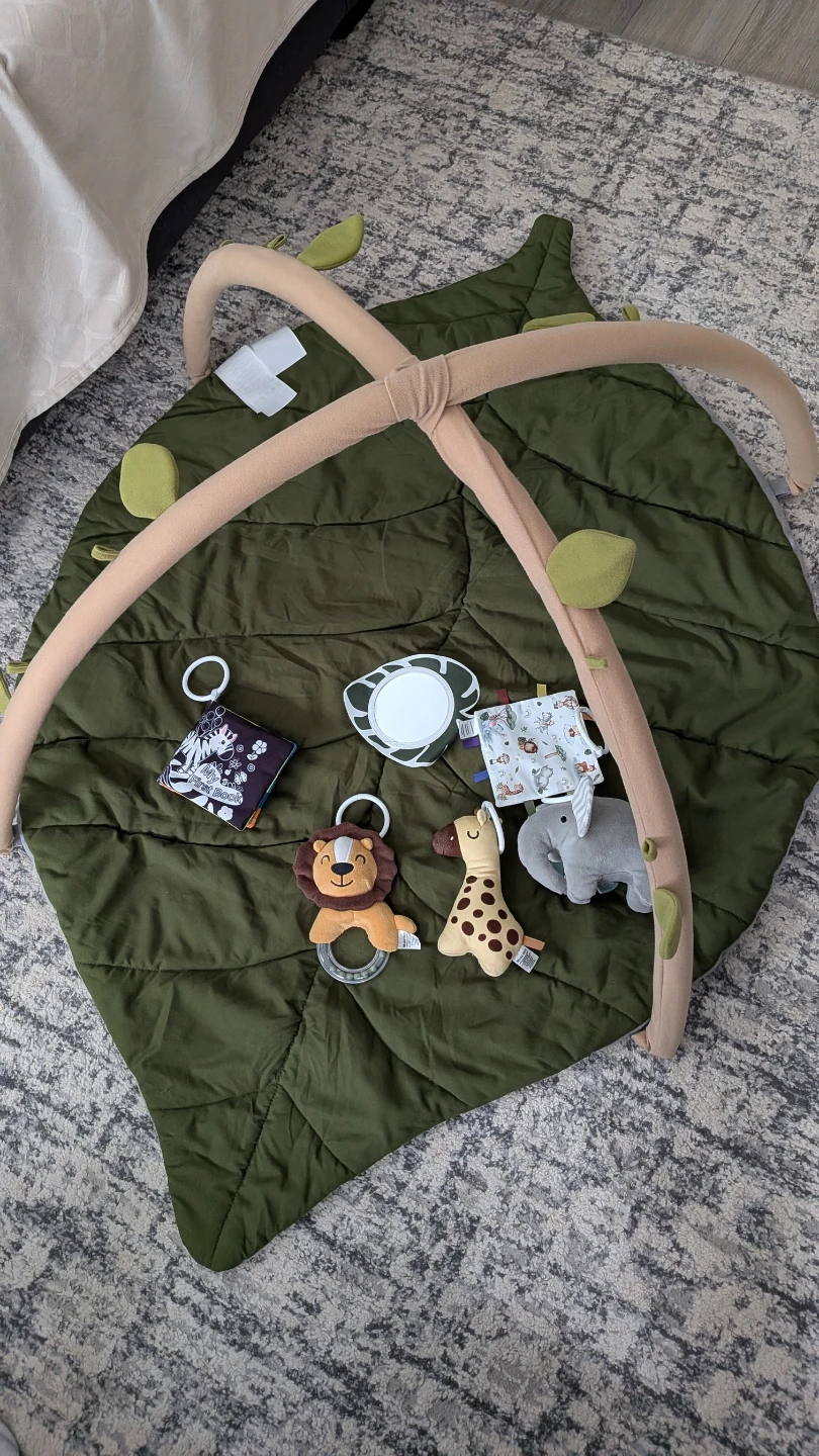 Blissful Diary Baby Play Gym & Activity Mat,