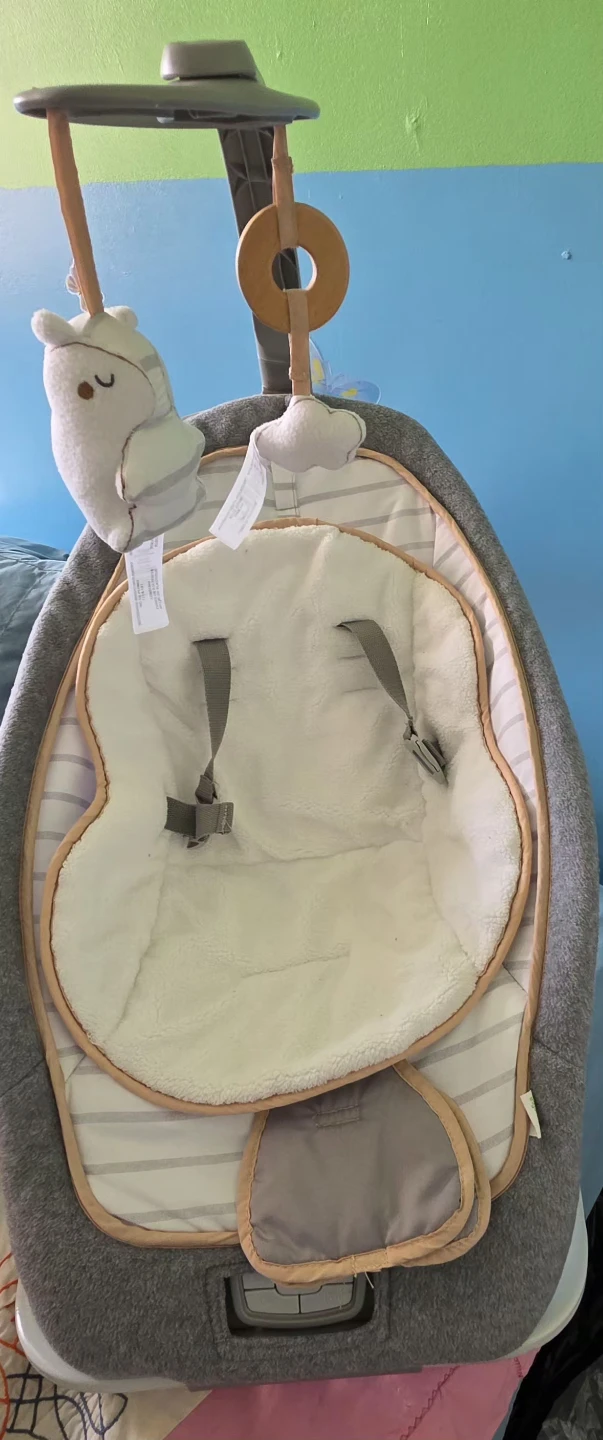 Fisher-Price Infant-to-Toddler Rocker - photo 3