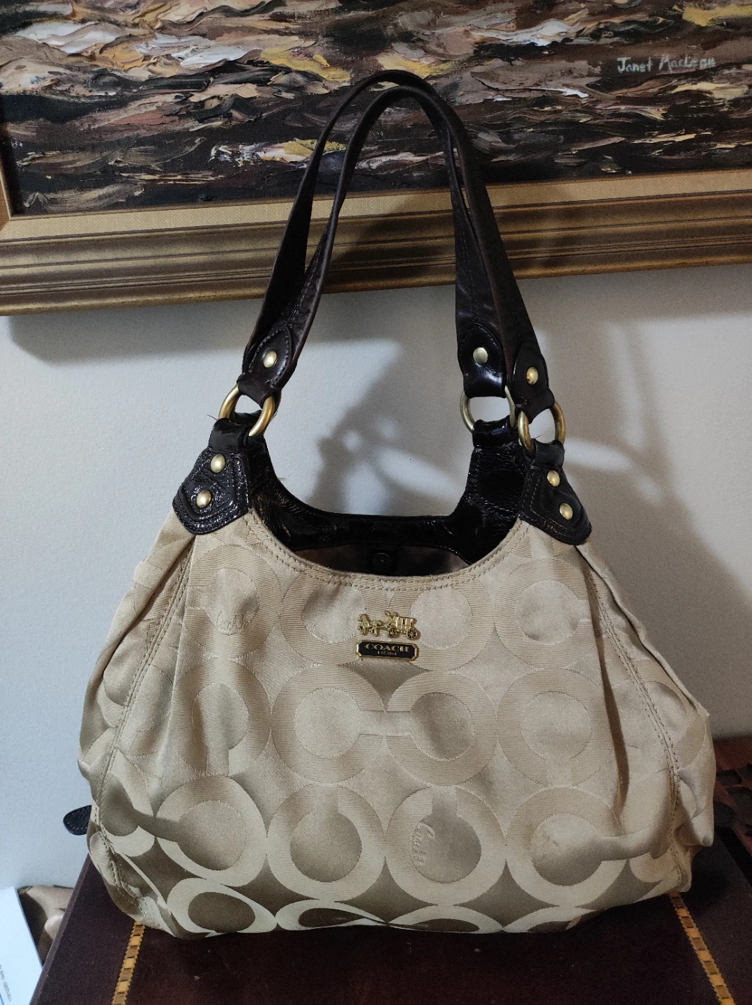 Coach Signature C Hobo Handbag