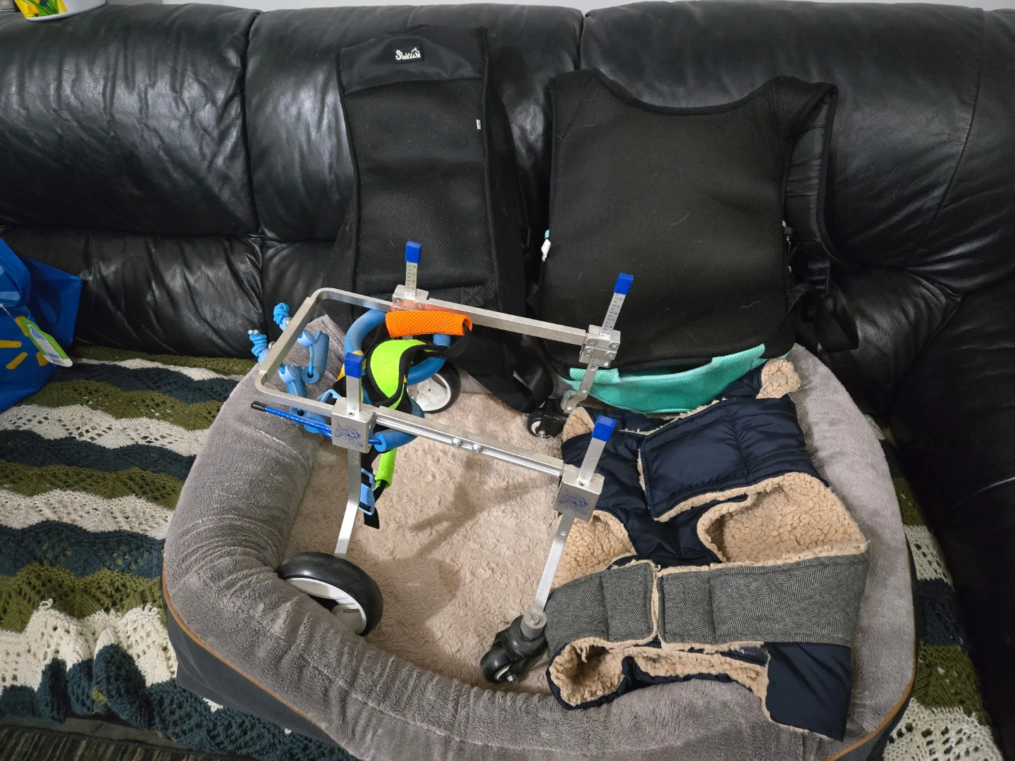 Assorted Pet Supplies