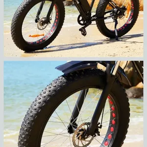 ElectriElectric Bike for Adult,