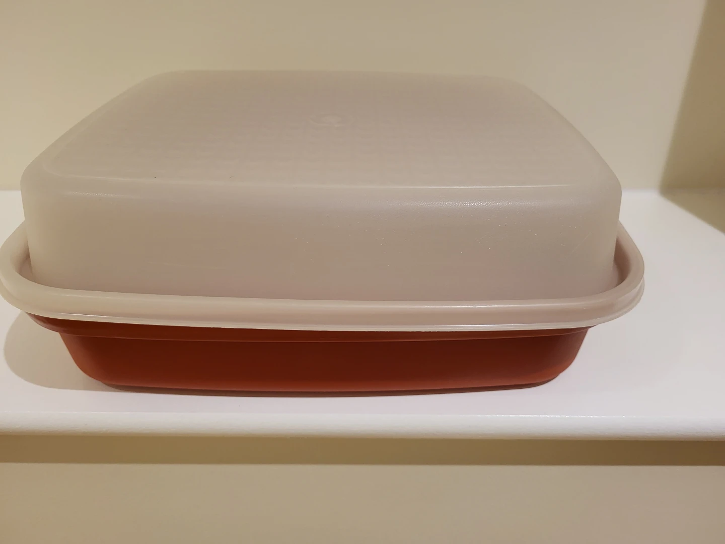 Tupperware Tenderizer /Marinade Container