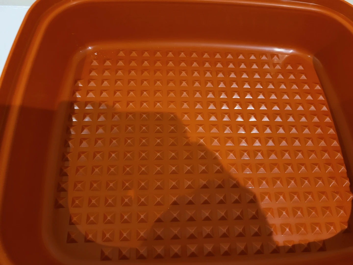 Tupperware Tenderizer /Marinade Container - photo 2