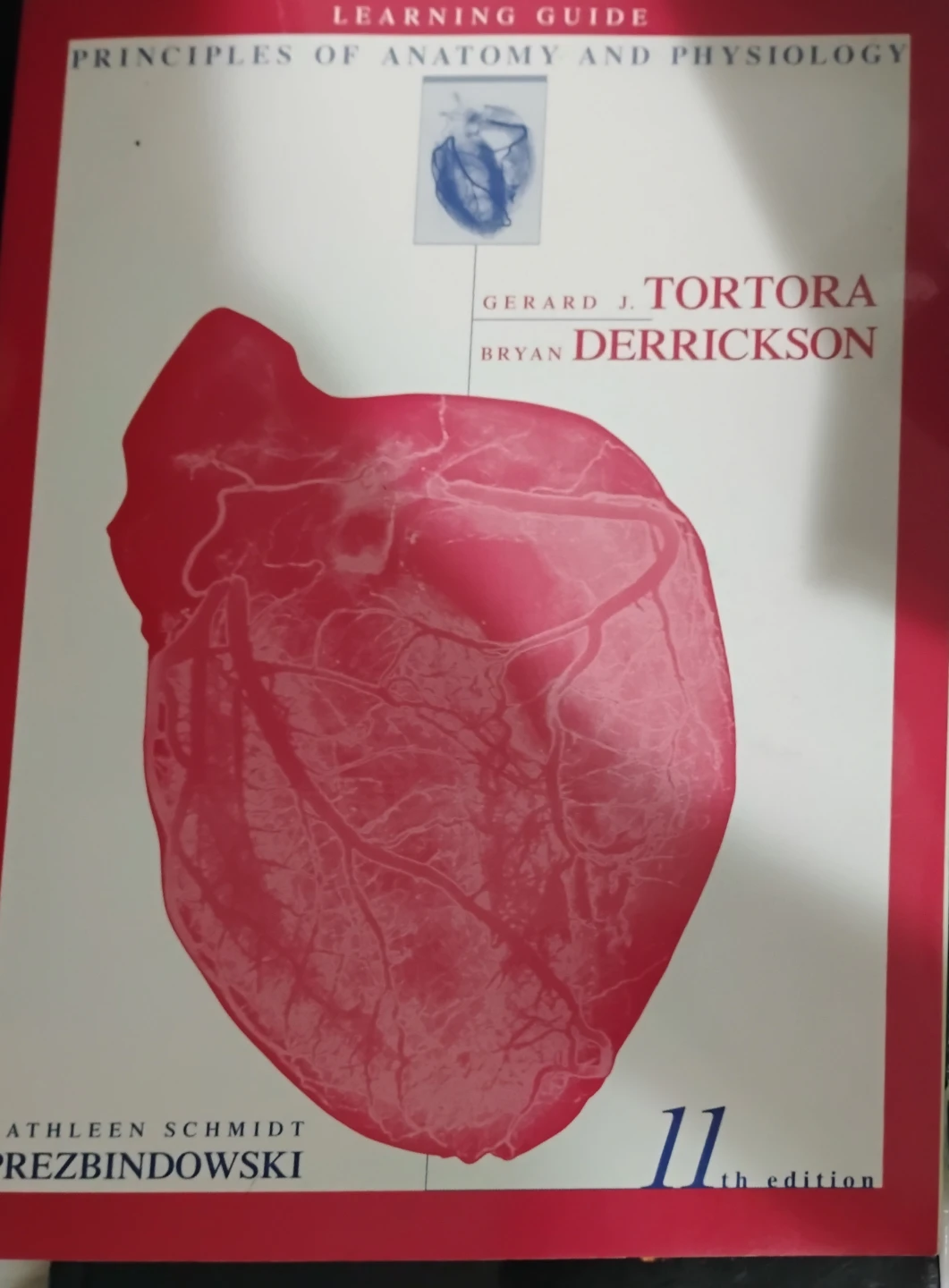 Principles of Anatomy and Physiology Learning Guide 11th Edition