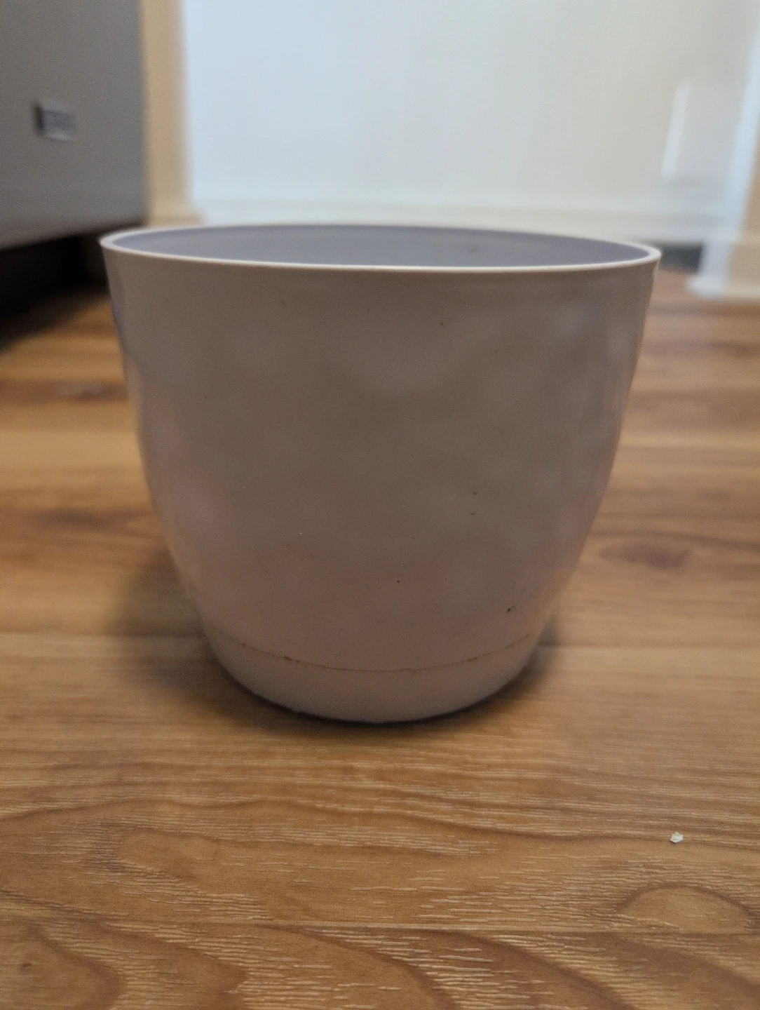 White Flower Pot