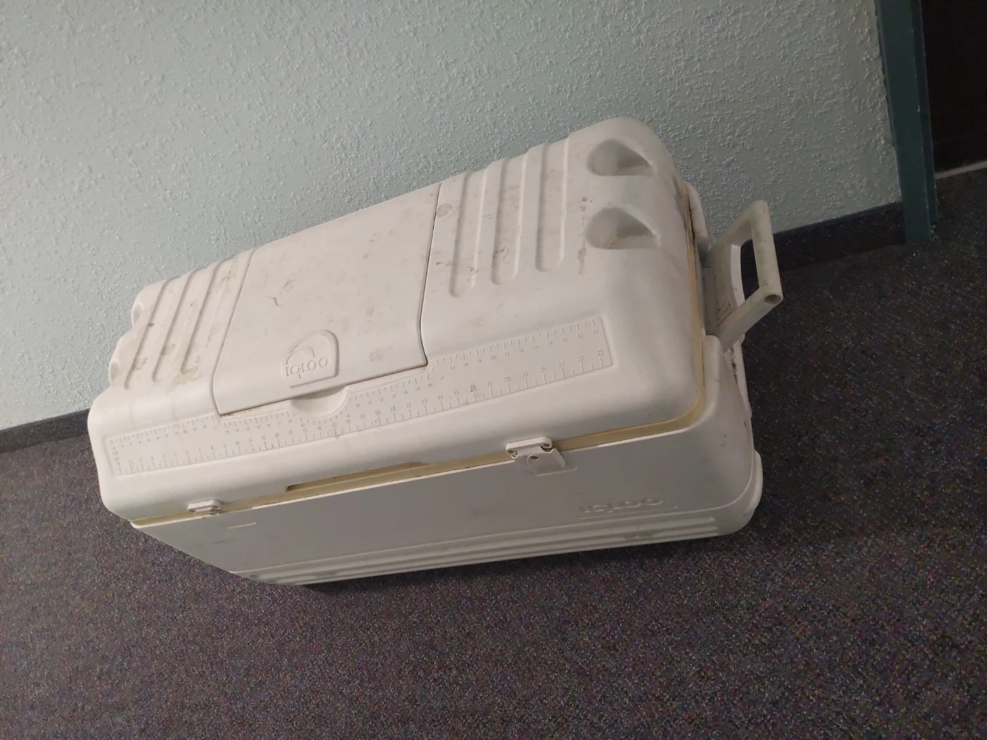 Very big Igloo Cooler