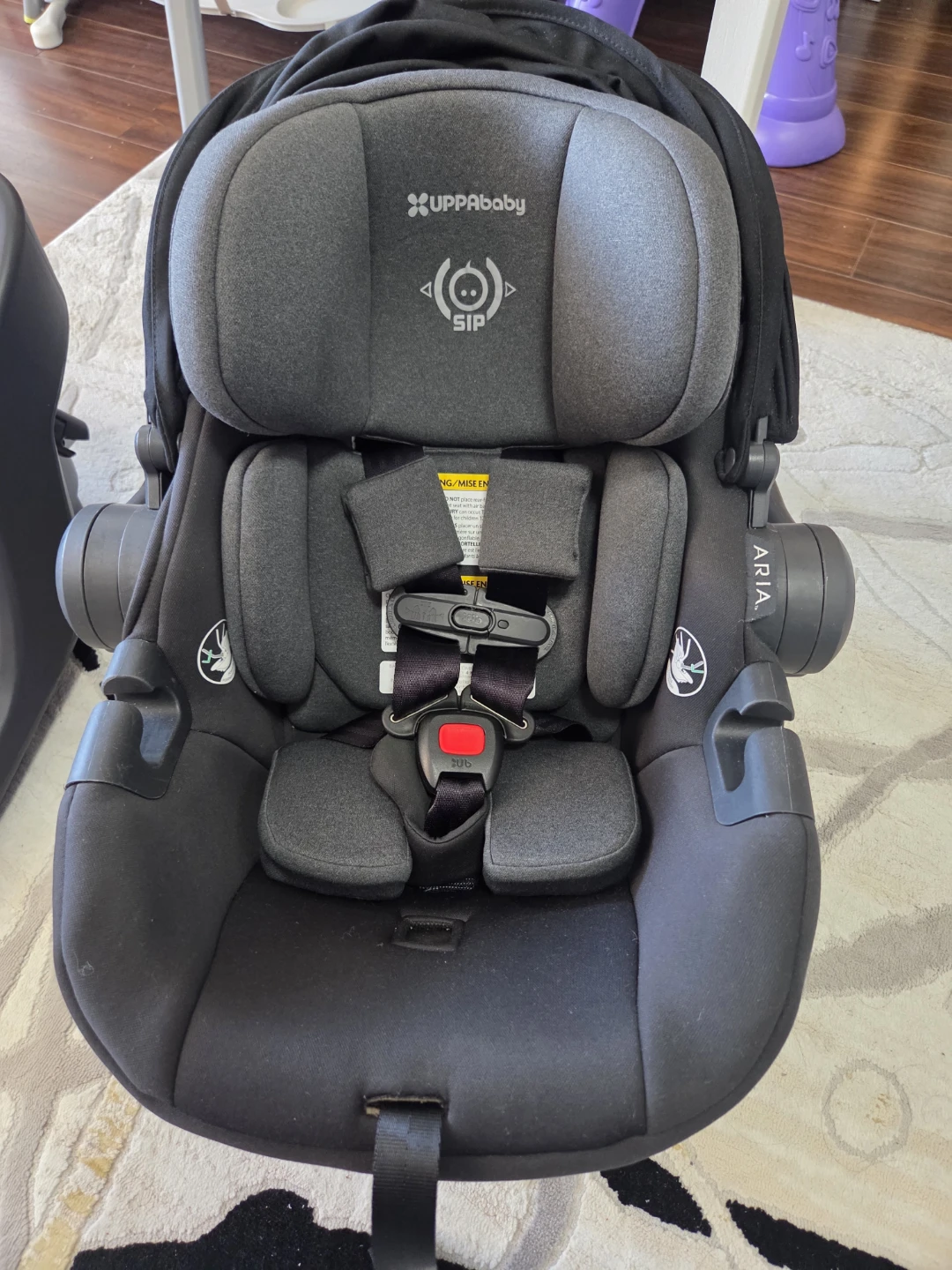 UPPAbaby Aria Infant Car Seat and Base