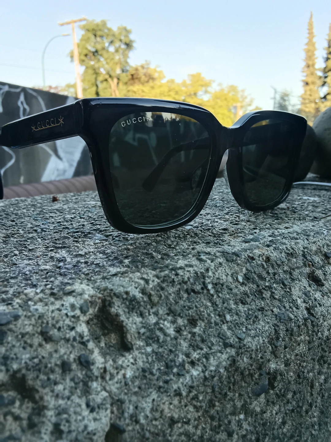 Gucci Sunglasses with Case