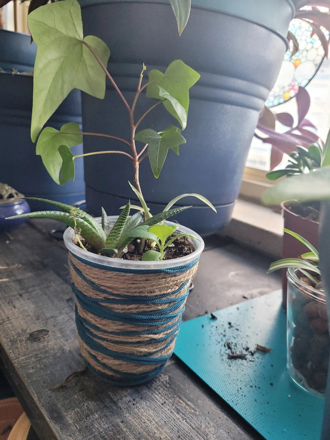 Multi plant - photo 2
