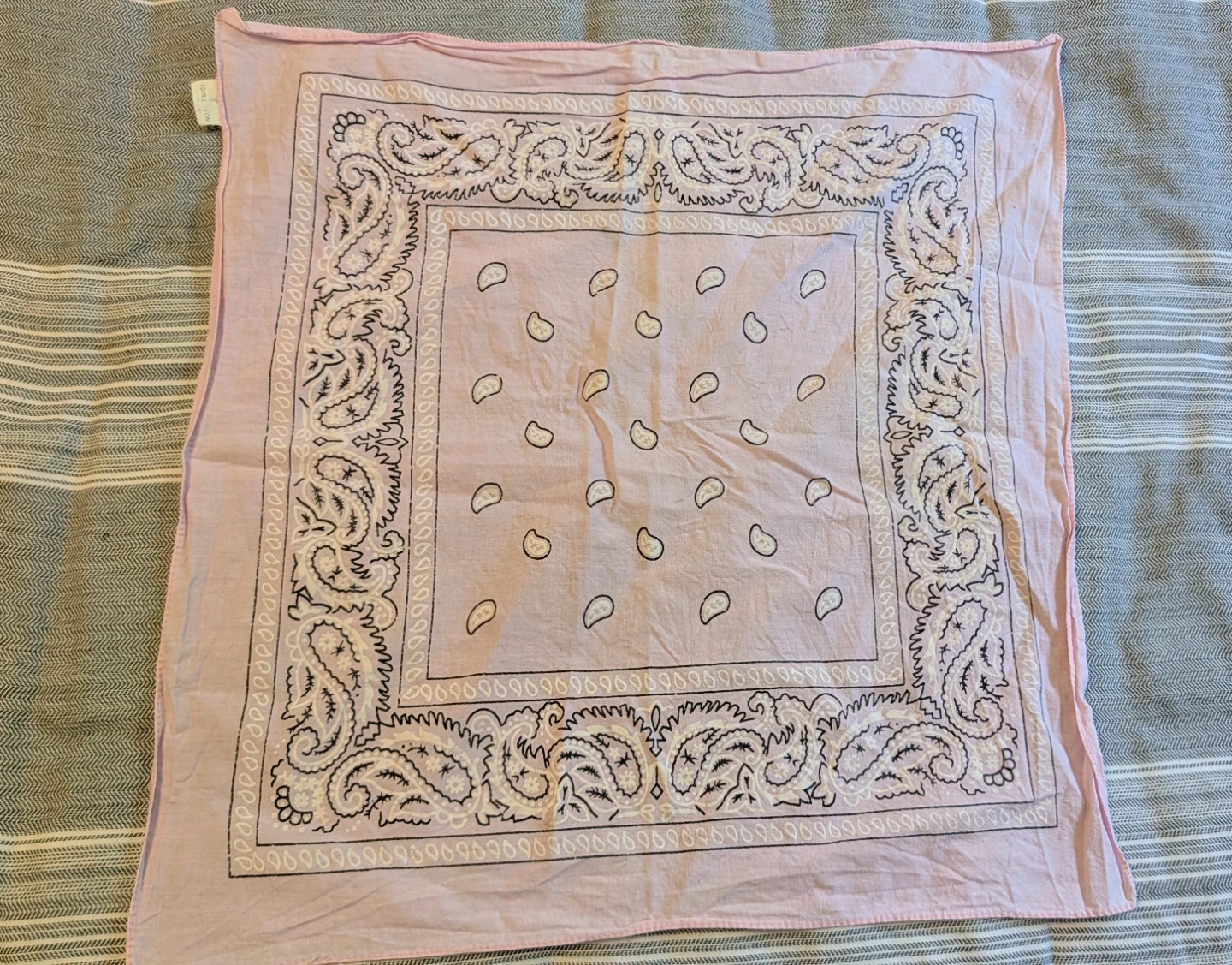 Pink Paisley Bandana