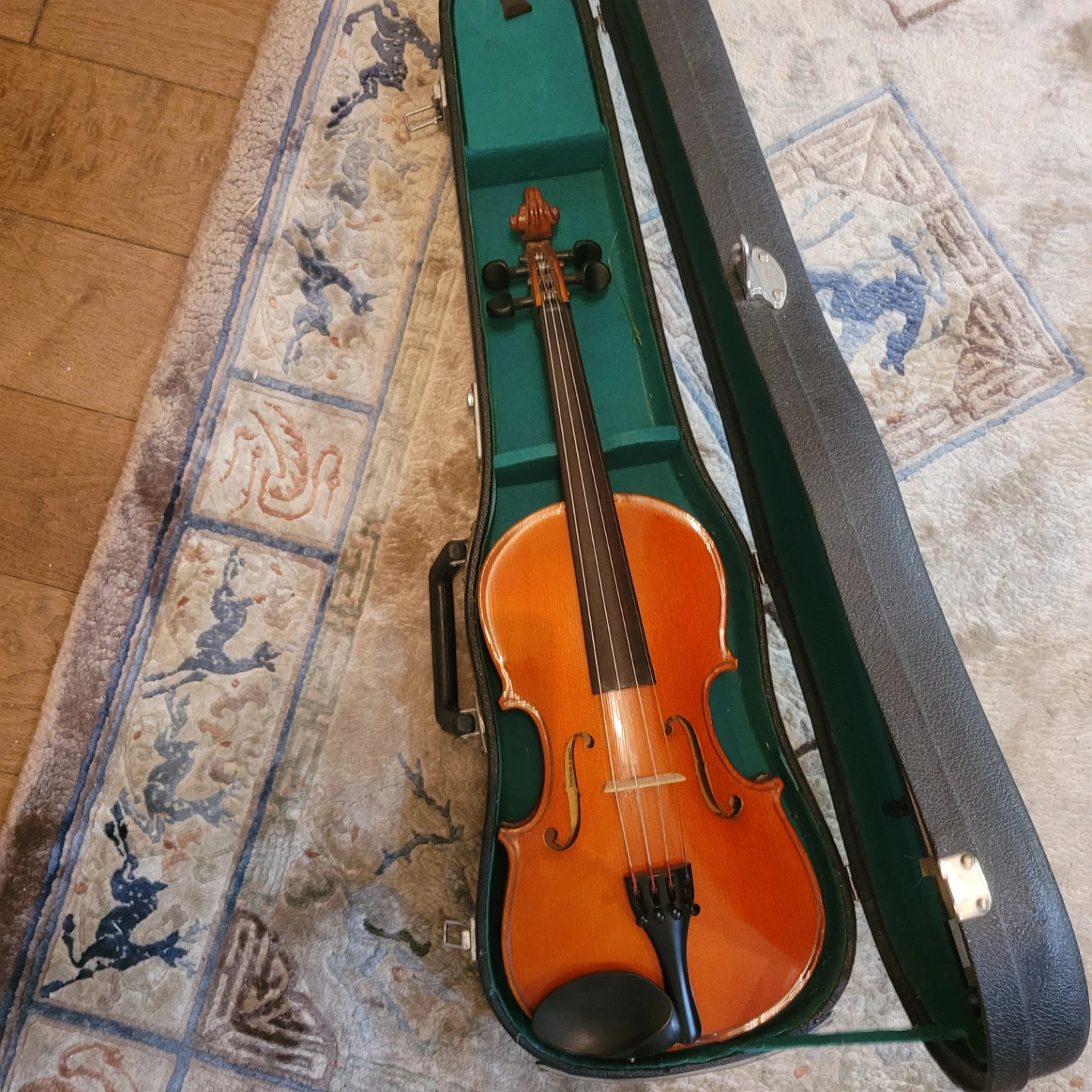 Violin with Case and Rosin