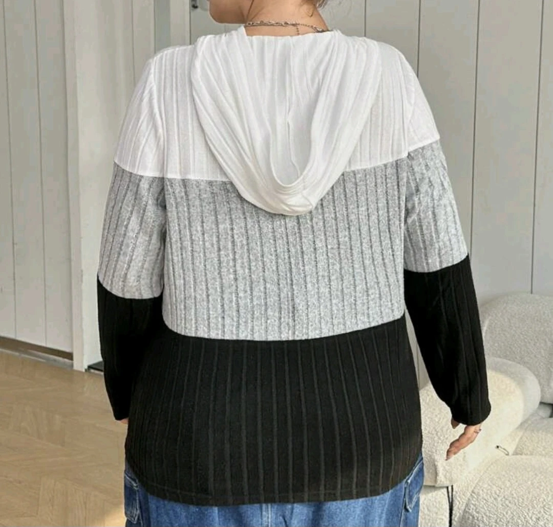 SHEIN CURVE Colour Block Hoodie - photo 2