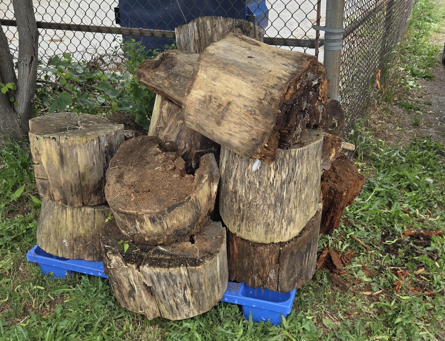 Assorted Firewood Logs , free