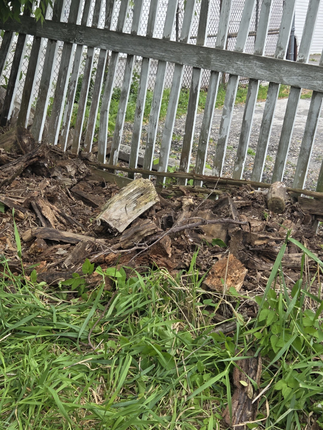 Assorted Firewood Logs , free - photo 3