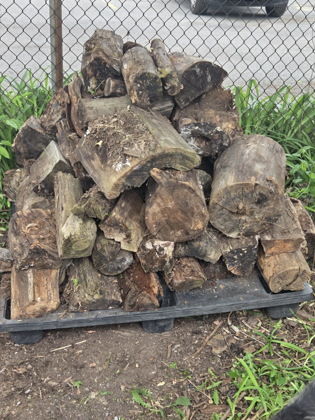 Assorted Firewood Logs , free - photo 4