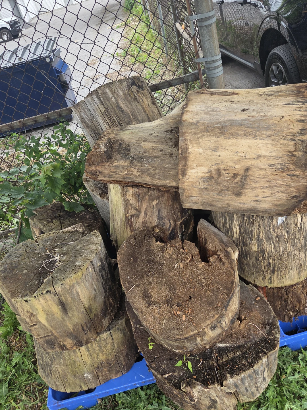 Assorted Firewood Logs , free - photo 5