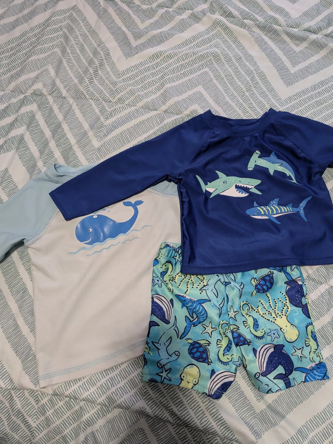 Baby Boy Swim (12-18 months)