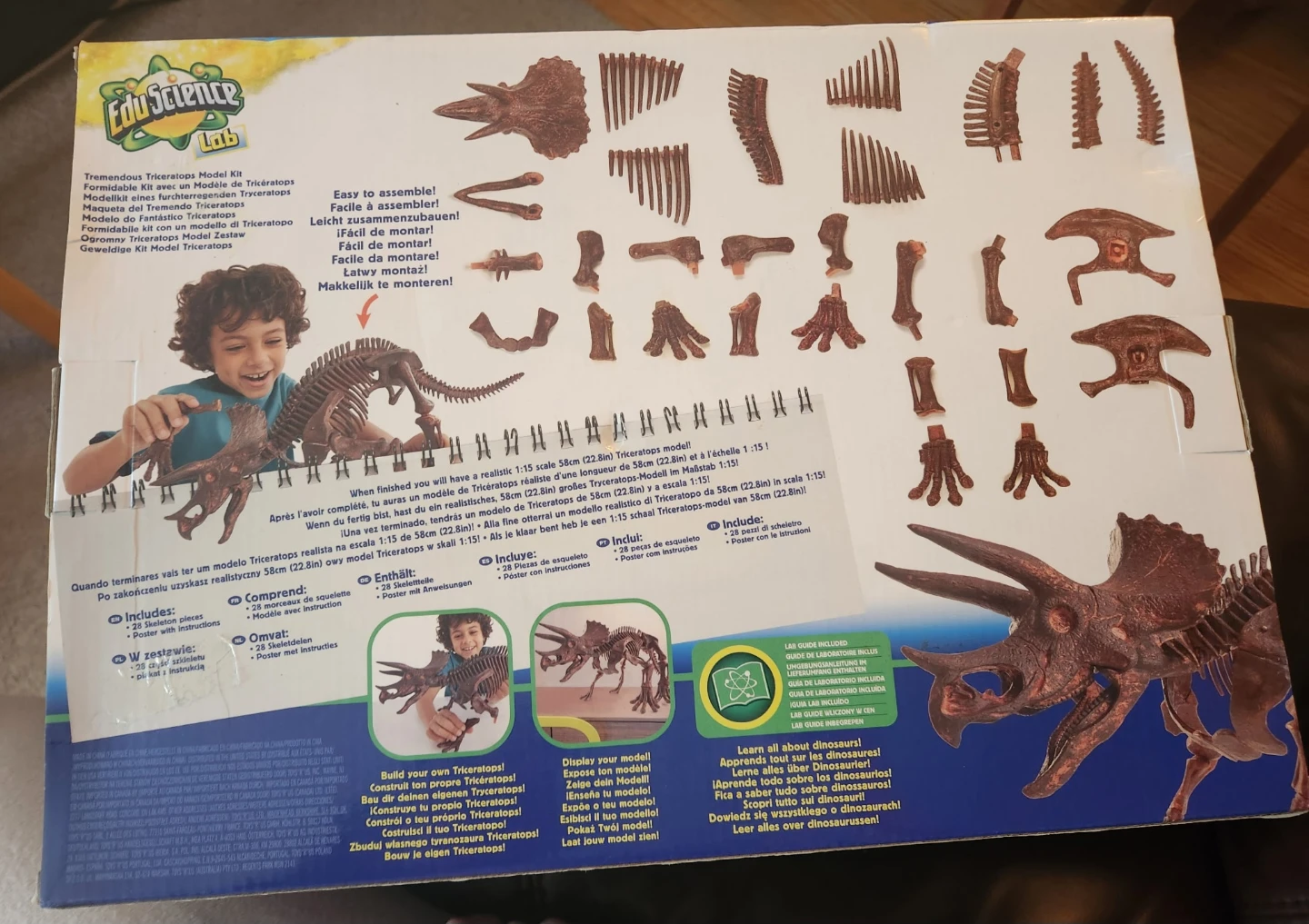 Edu Science Lab Tremendous Triceratops Model Kit - photo 2