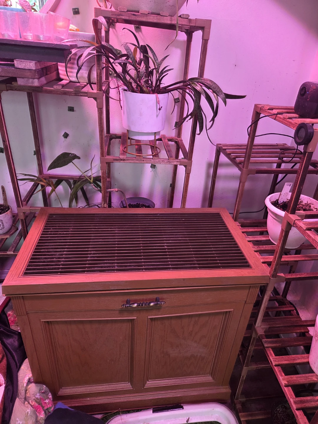 Humidifier