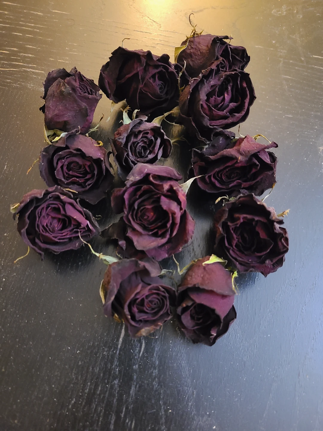 Dried Dark Red Roses