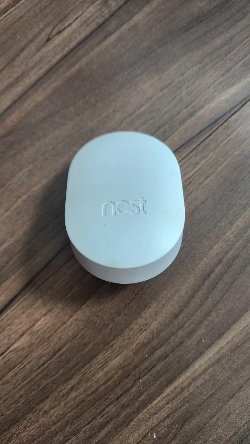 Google Nest Connect