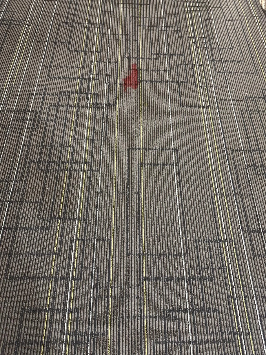 Area Rug with Geometric Pattern set of two