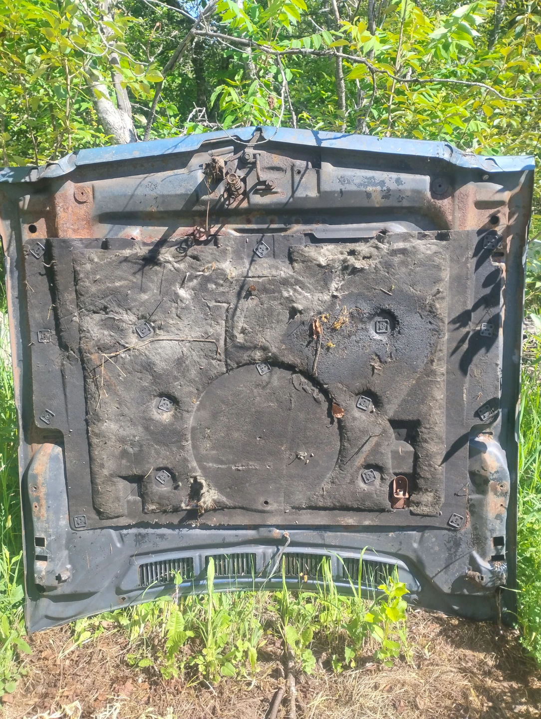 Parting out a 77 Malibu 2 door coupe - photo 3