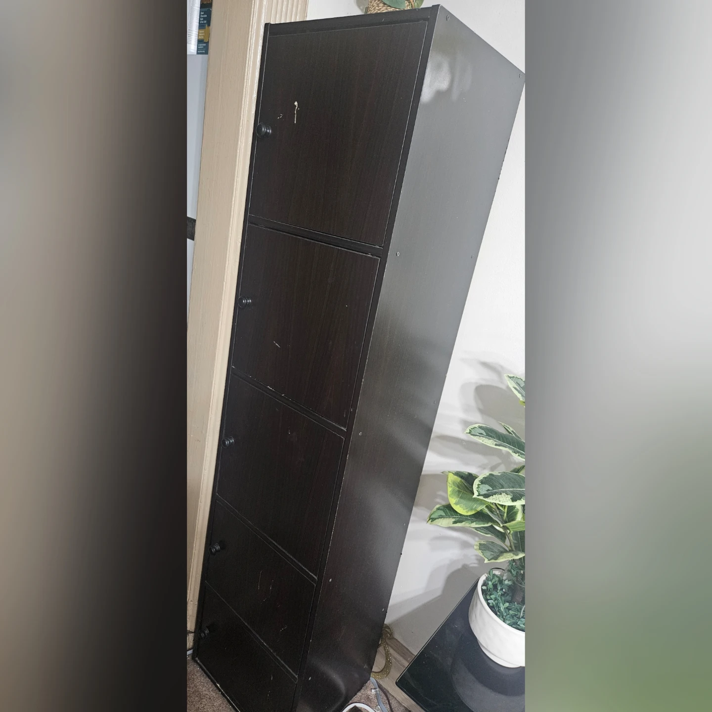 Tall Dark Wood Storage Cabinet with Lock