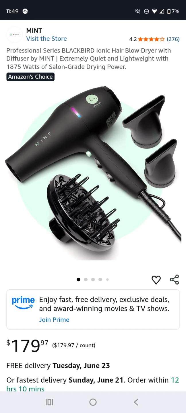 MINT BLACKBIRD Ionic Hair Blow Dryer with Diffuser - 1875 Watts