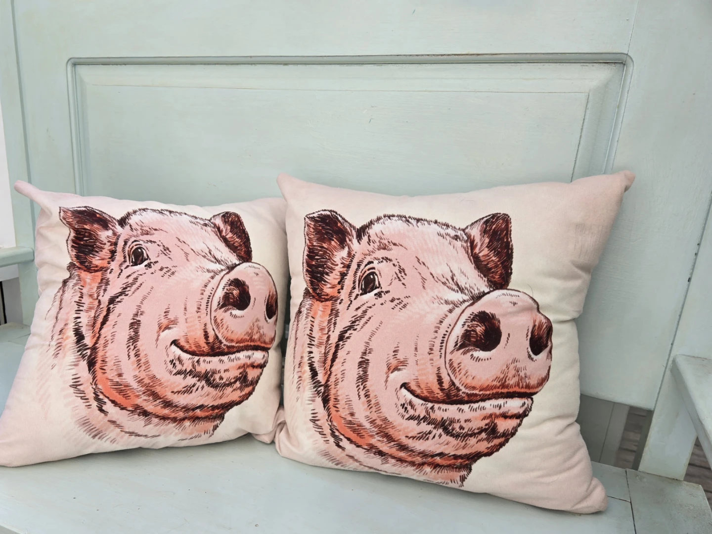 Decorative Throw Pillows with Pig Design - Set of 2