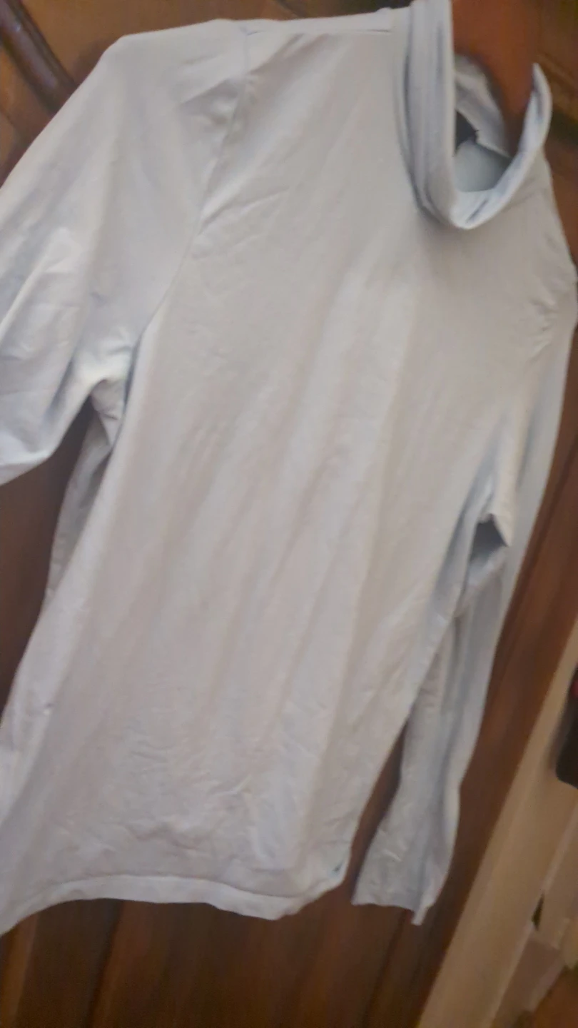 The Limited Long Sleeve Turtleneck Top - photo 3