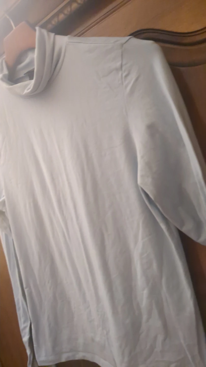 The Limited Long Sleeve Turtleneck Top - photo 4