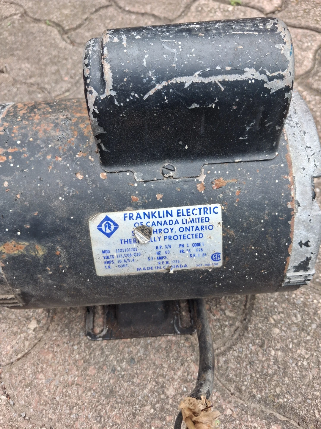 Franklin Electric Motor 3/4 HP - photo 4