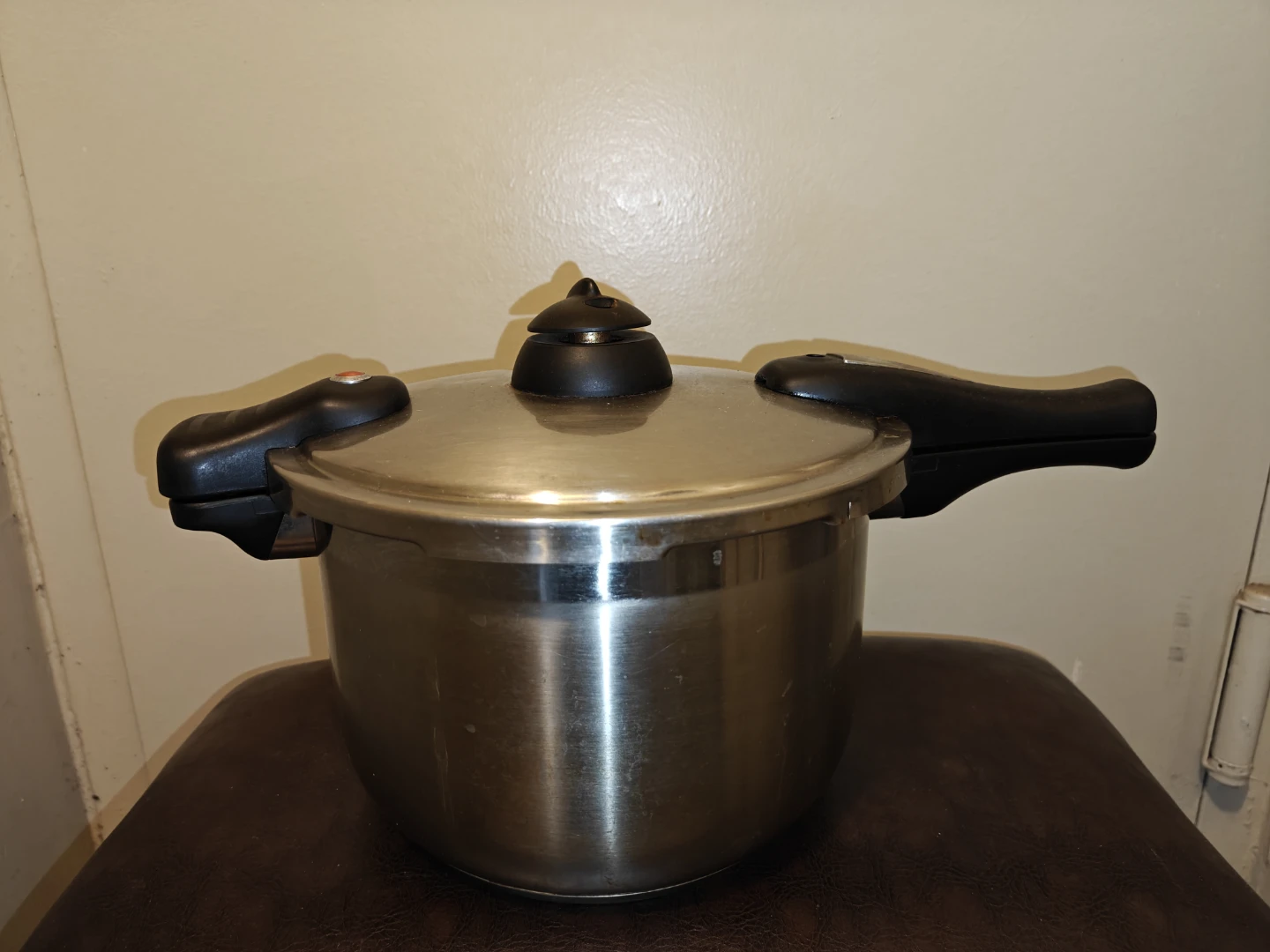 Stainless Steel Pressure Cooker