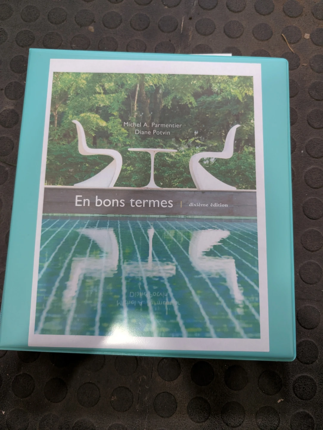 'En bons termes' by Michel A. Parmentier and Diane Potvin