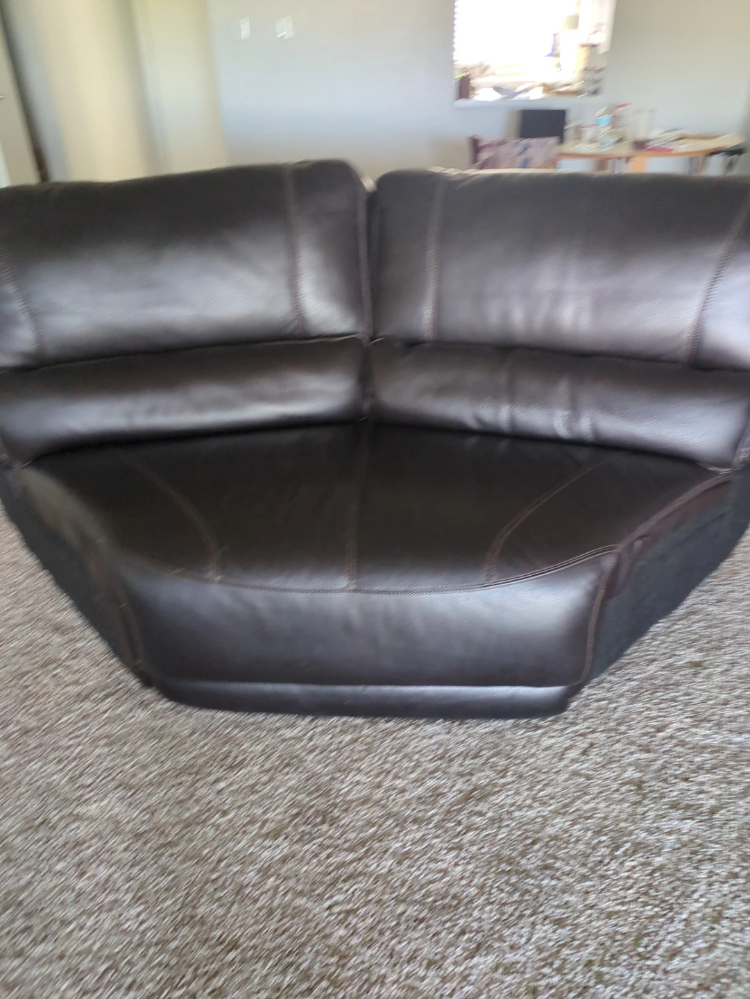 Dark Brown Leather Sofa Section