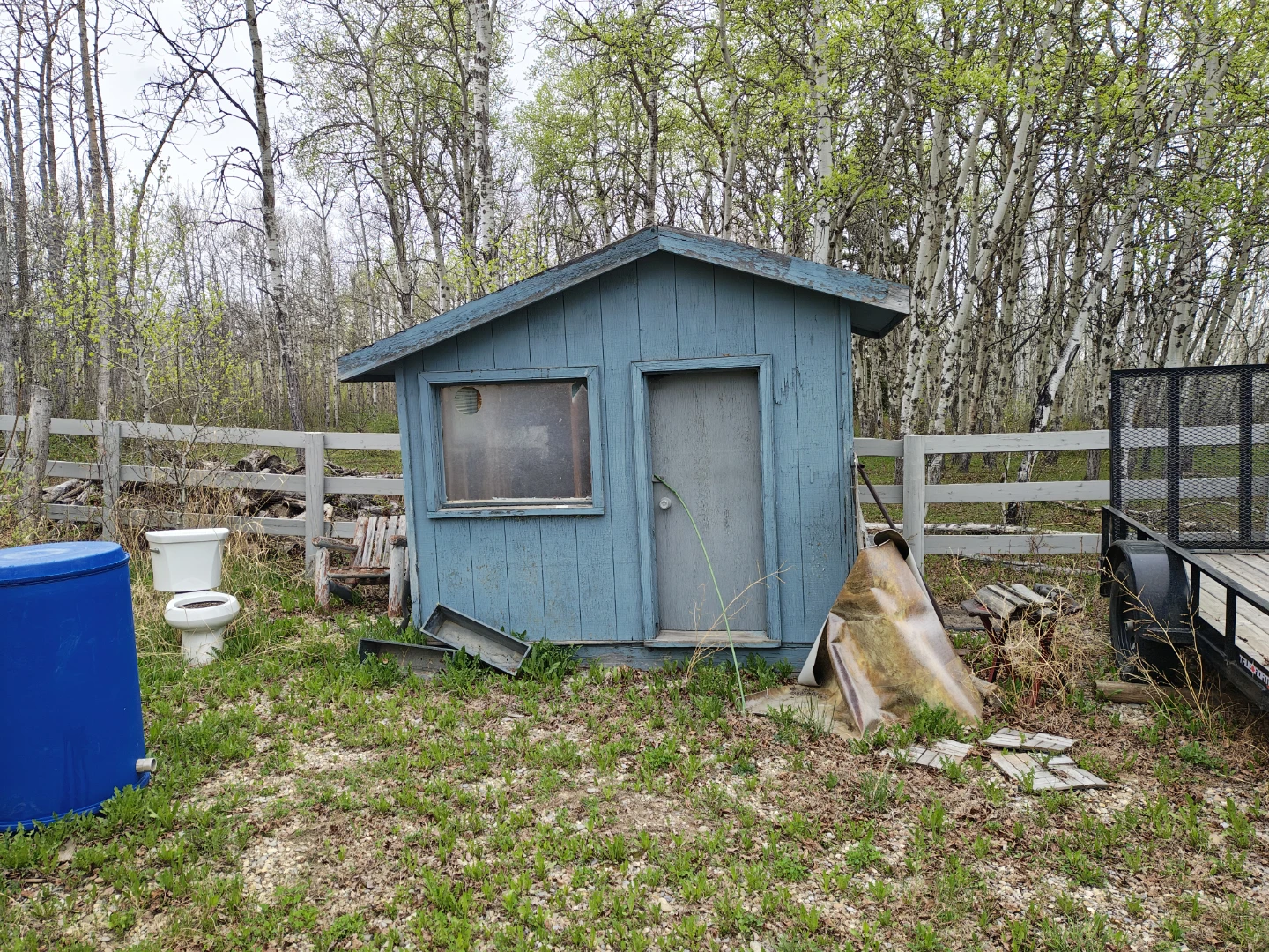 Solid shed!