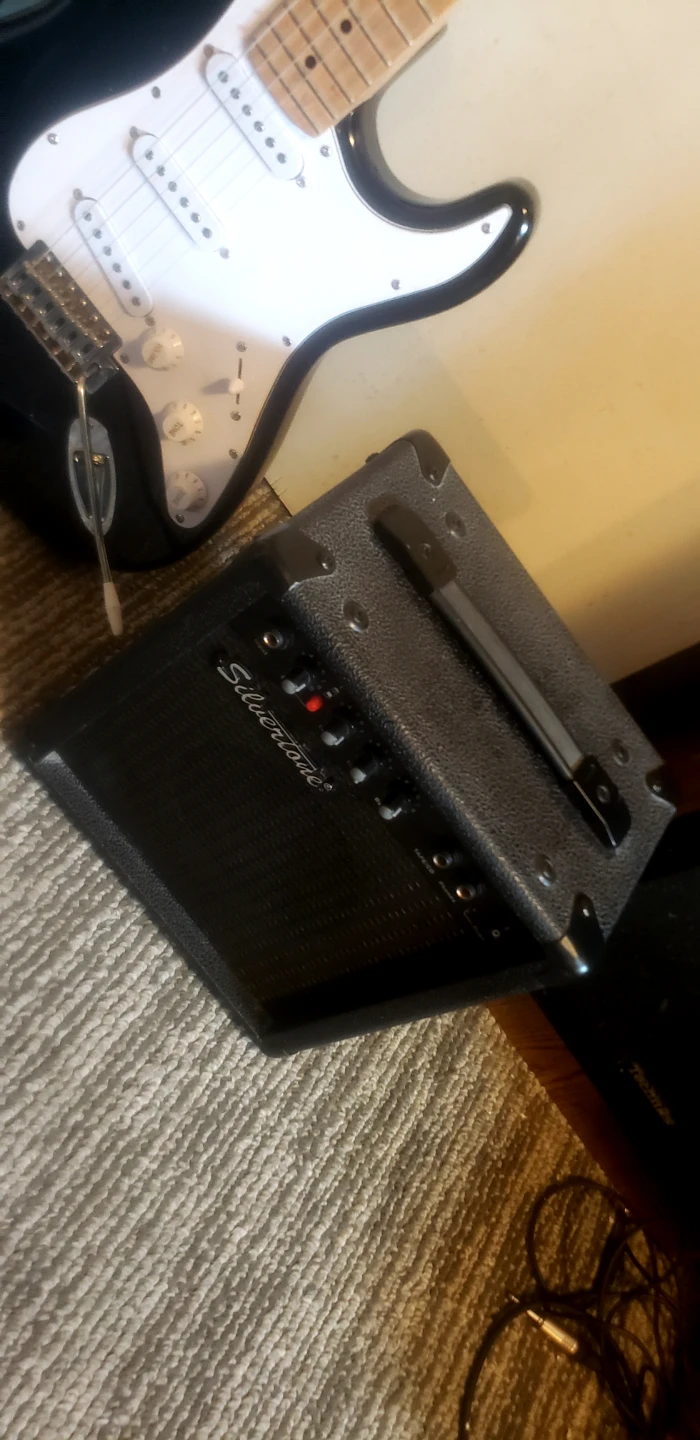 Silvertone Guitar with Amplifier and Gig Bag - photo 2