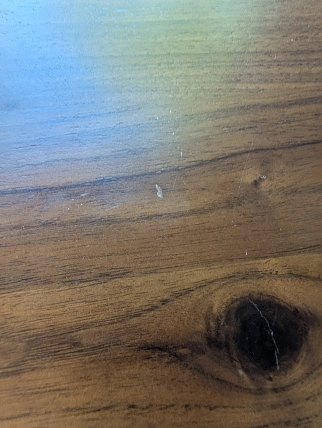 Solid Wood Dining Table - photo 5