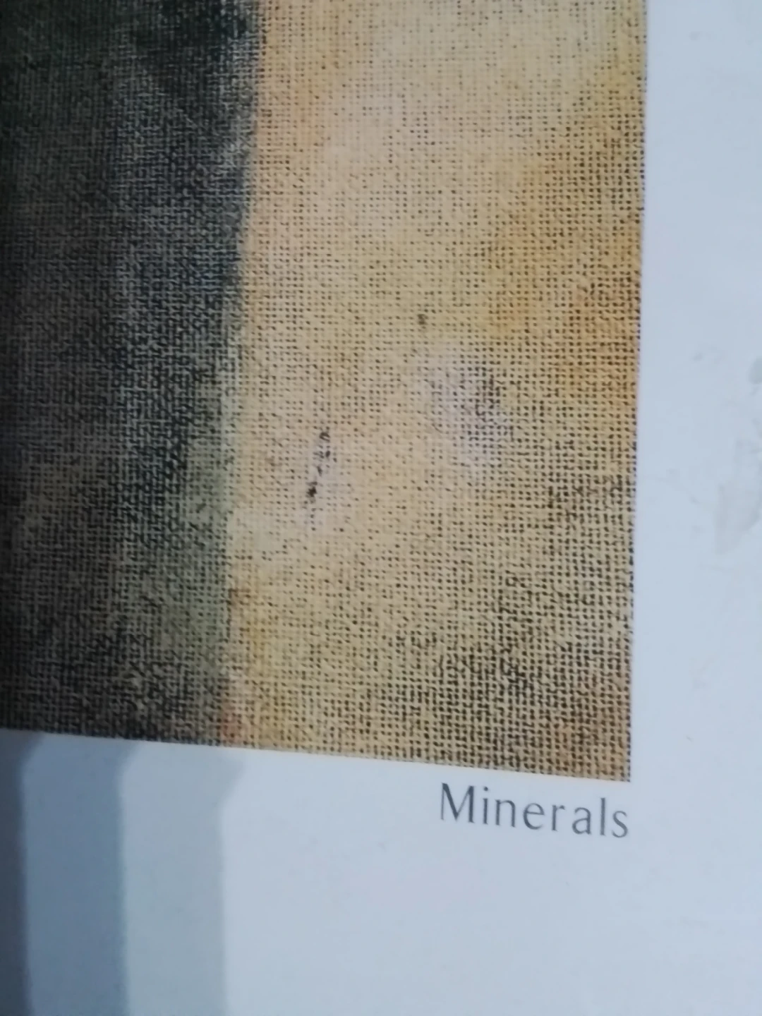Roma Tearne "Minerals" Framed Art Print - photo 5