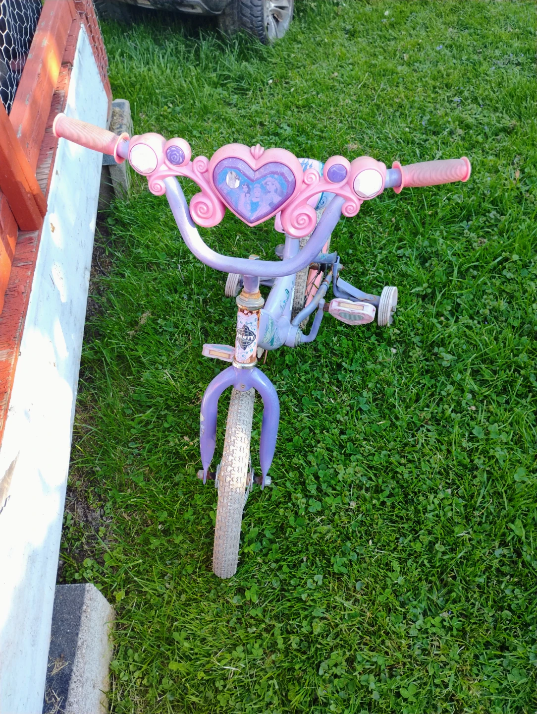 Kids Disney Princess Training Bike