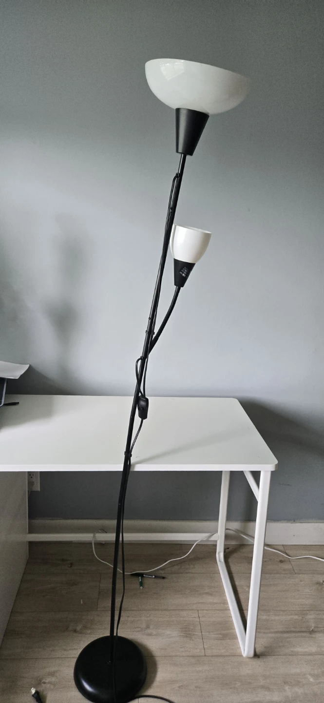 Black Floor Lamp with Two Lights