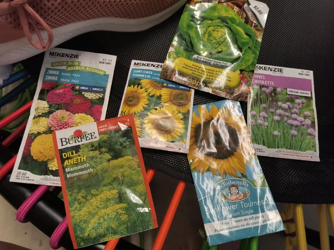 Burpee, McKenzie, Mr. Fothergill's Seed Packets for the lot