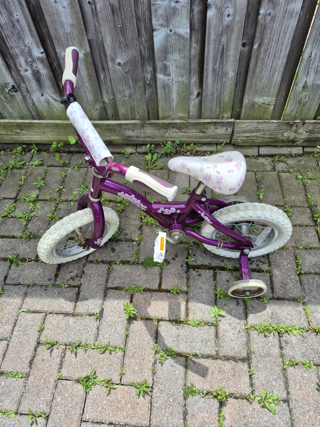 Kids Purple Training Bike