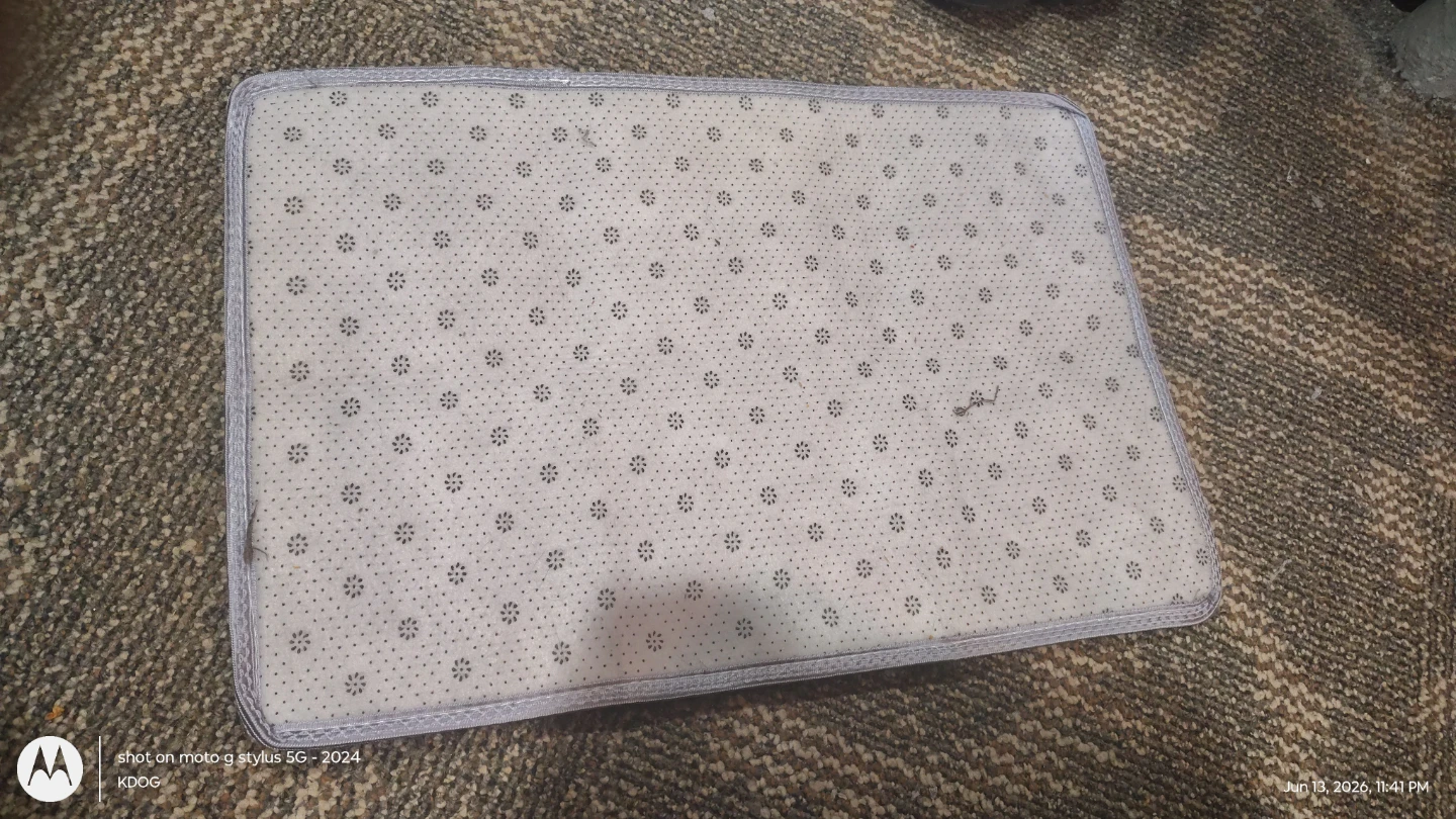 Fluffy Dark Gray Accent Rug - photo 2