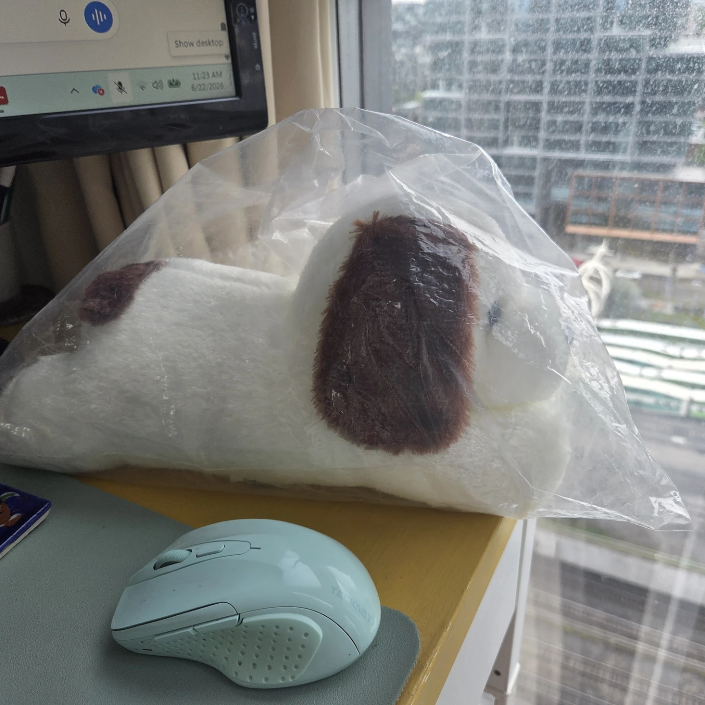 Stuffed Dog Toy