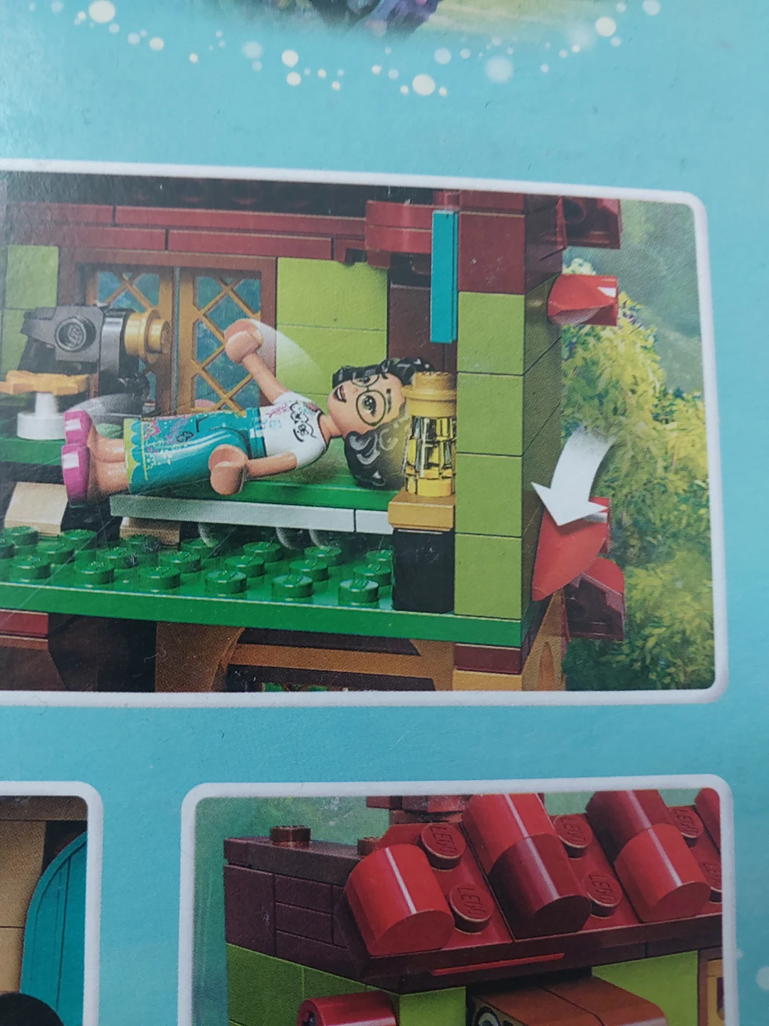 LEGO Disney Encanto Isabela's Magical House Set - photo 5