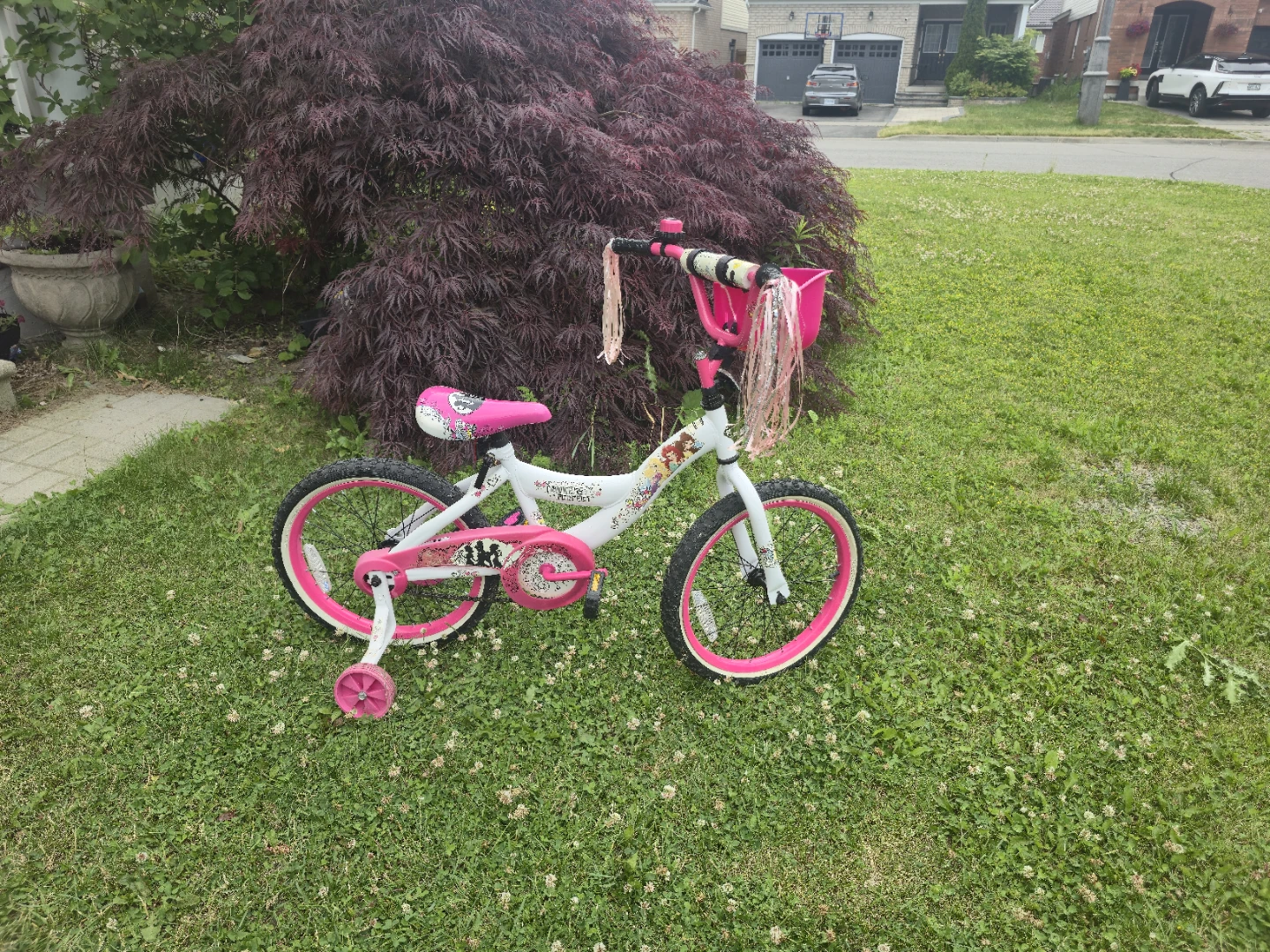 Kids Princess Bike with Training Wheels