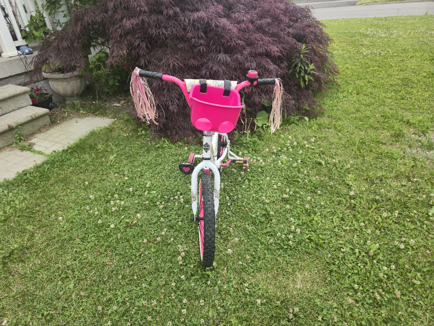 Kids Princess Bike with Training Wheels - photo 2